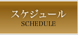 スケジュール